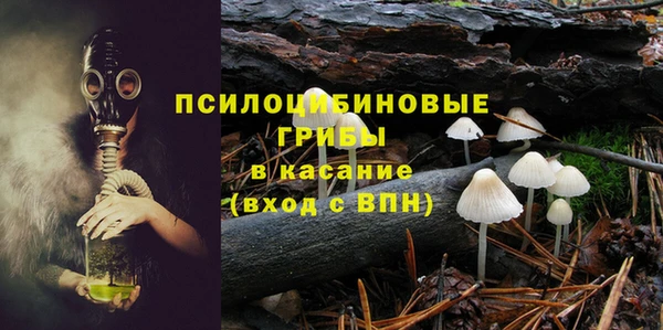 кристаллы Бородино